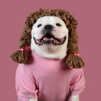 pies, który wie, że czasem w marketingu trzeba zrobić coś szalonego